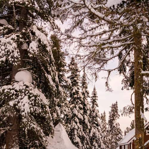 Photo #5966727