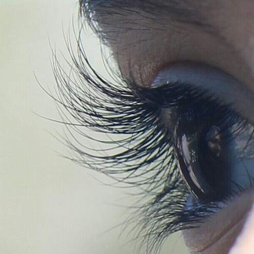 Photo #5967080