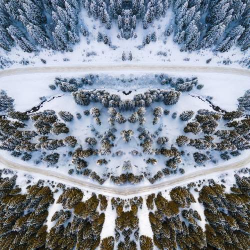 Photo #5967289