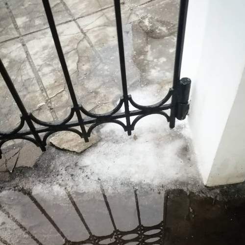 Photo #5967515