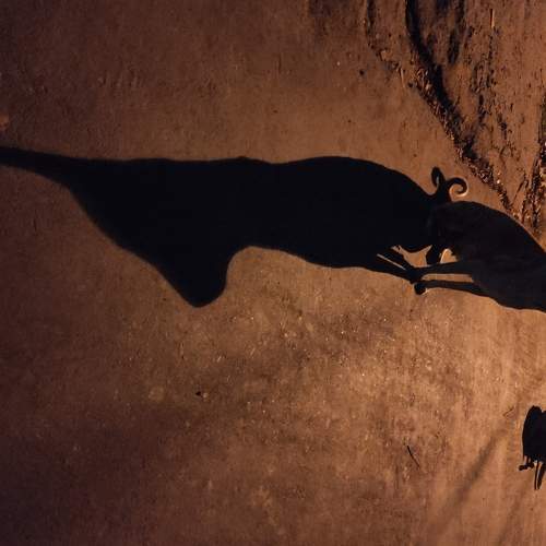 Photo #5967537