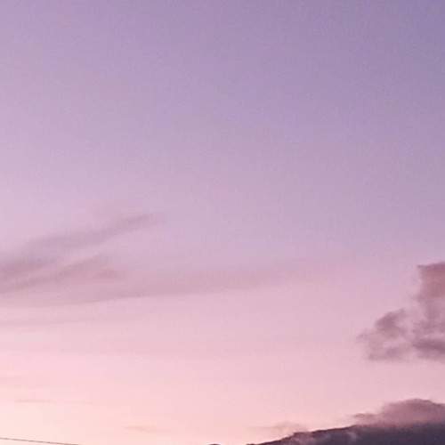 Photo #5967544