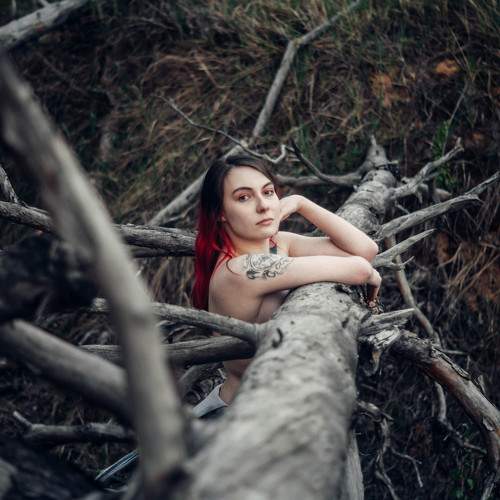 Photo #5967768