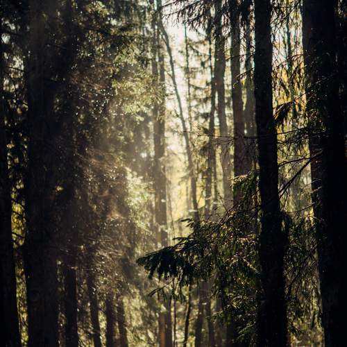 Photo #5967846
