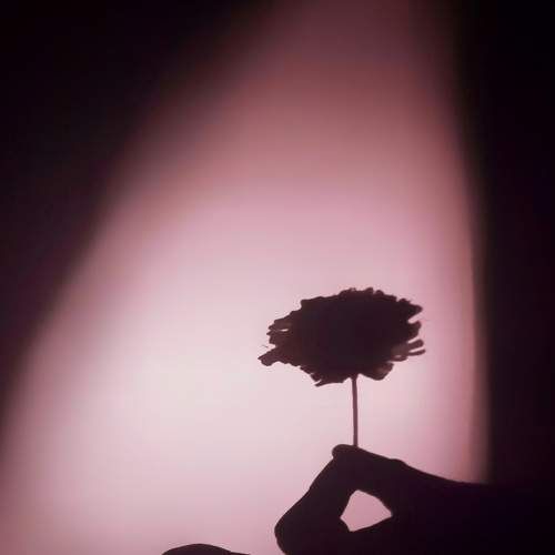 Photo #5967878