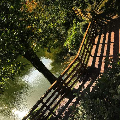 Photo #5967901