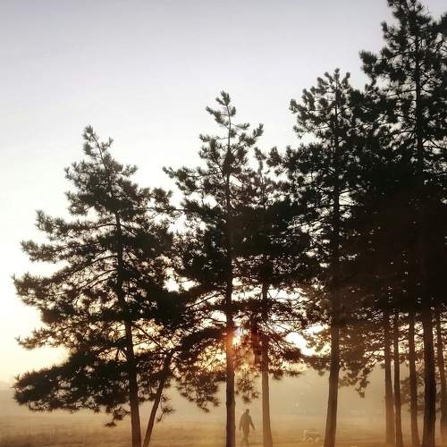 Photo #5967907