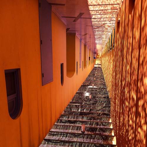 Photo #5967982