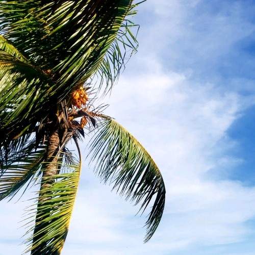 Peaceful beach time.