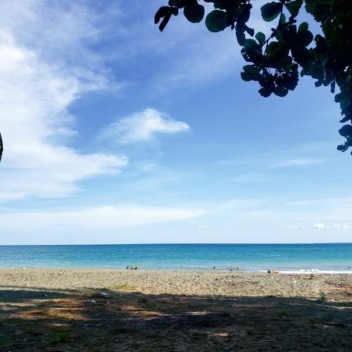 Photo #5968157