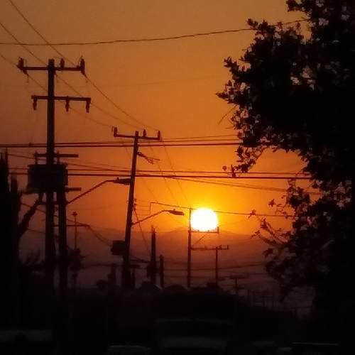 Photo #5968166