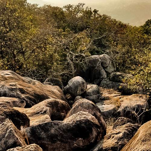 Photo #5968400