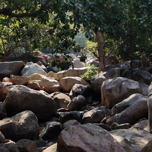 Photo #5968403