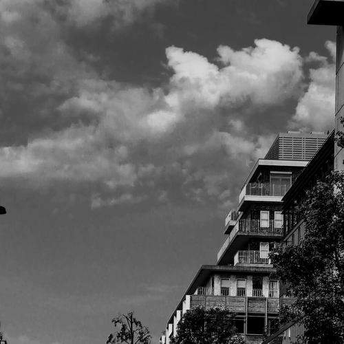 Photo #5968425