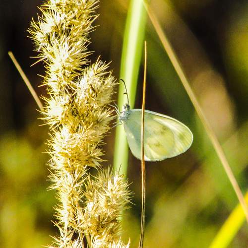 Photo #5968962