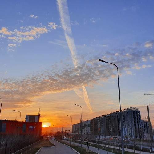 Photo #5968984