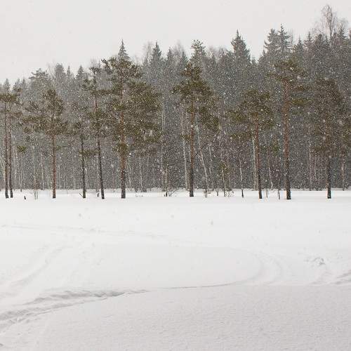 Photo #5969036