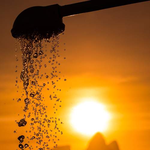 Photo #5969048