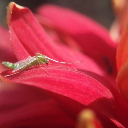 Photo #5969063