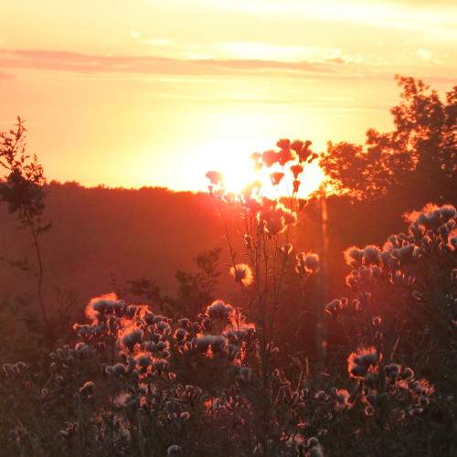 Photo #5969080