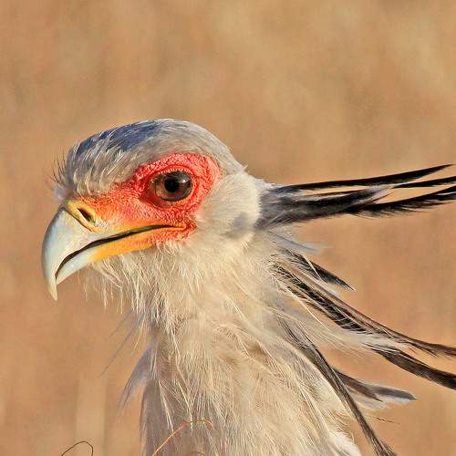 Photo #5969427