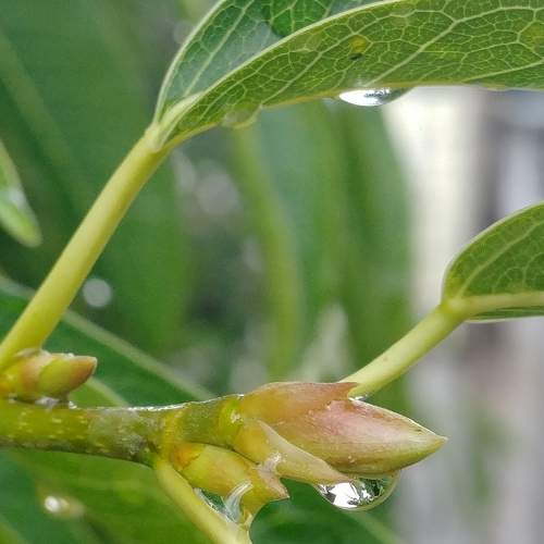 Photo #5969539