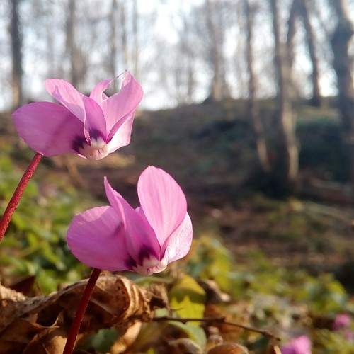 Photo #5969690