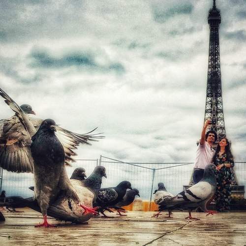 Photo #5969699