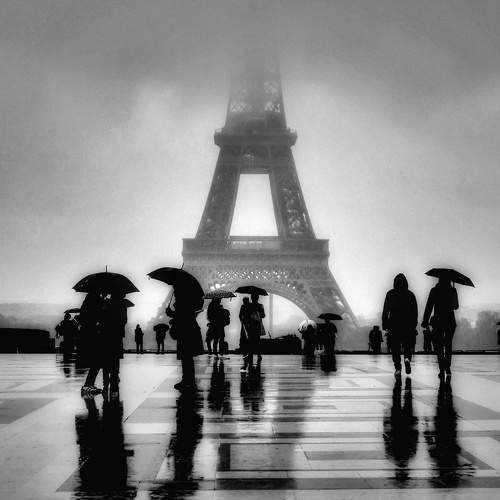 Photo #5969705