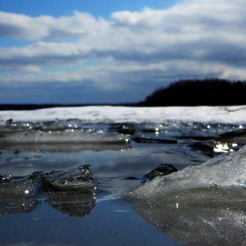 Photo #5969841