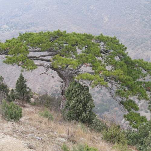 Photo #5970061