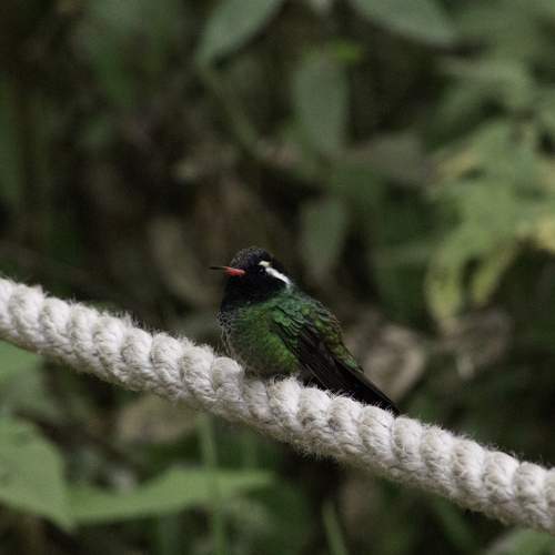 Photo #5970122