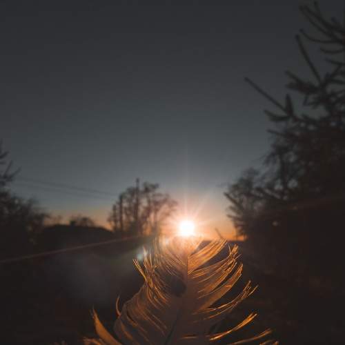 Photo #5970436