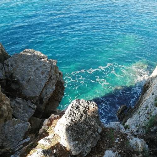 Photo #5970831