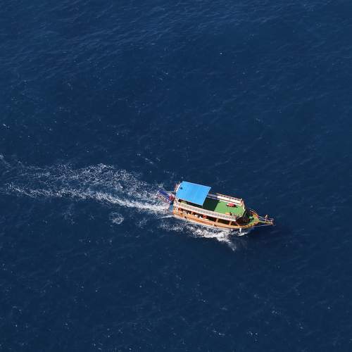 Photo #5971212