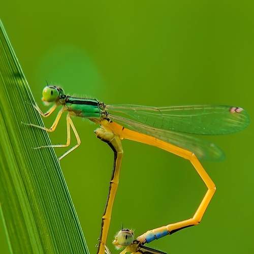Photo #5971412