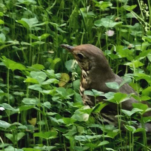 Photo #5971594