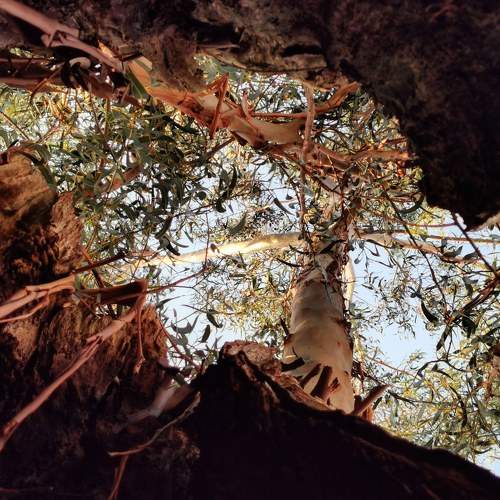 Photo #5971726