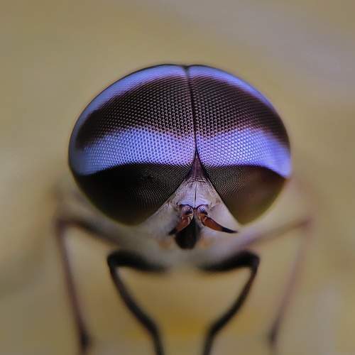 Photo #5972158
