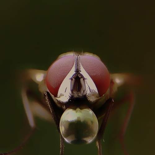 Photo #5972159