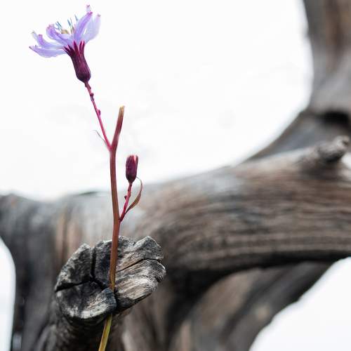 Photo #5972476