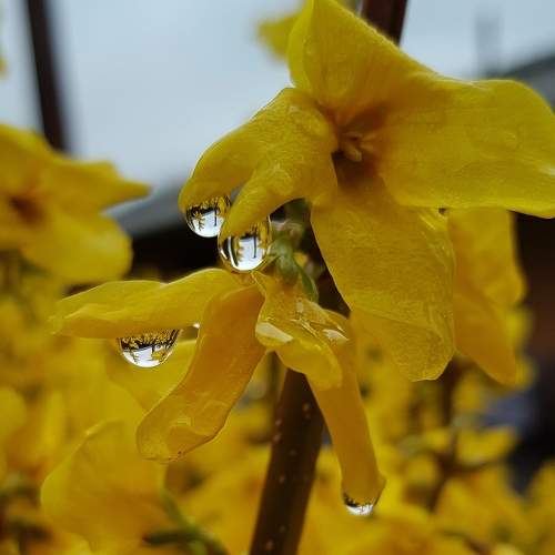 Photo #5972744