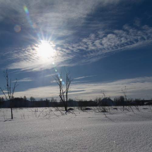 Photo #5972849