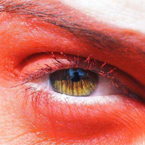 Photo #5972907
