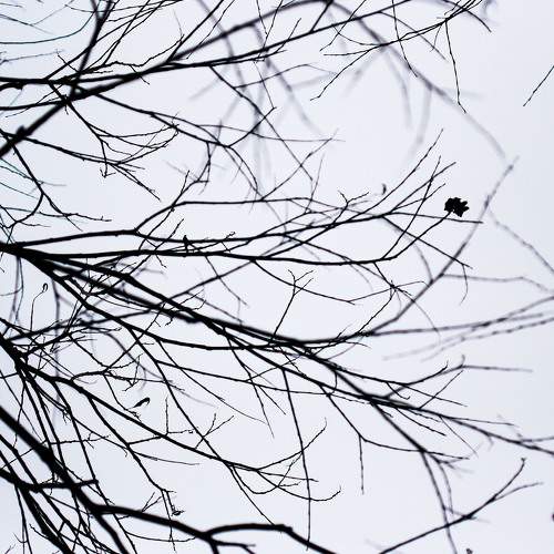 Photo #5973196