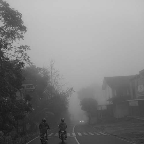 Photo #5973403