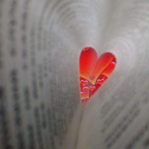 Photo #5973495