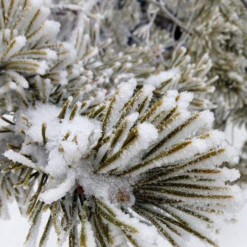 Photo #5973499