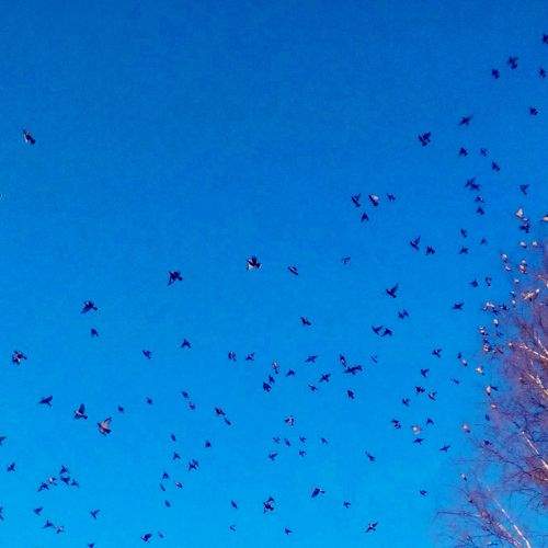 Photo #5973541