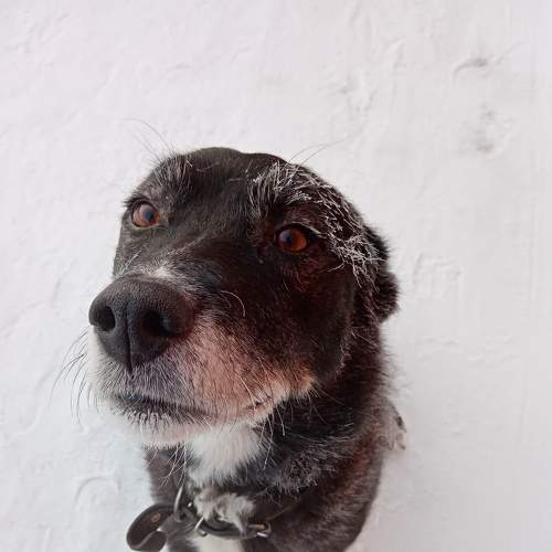 Photo #5973619